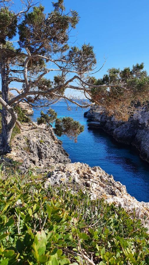 Villa Sirena Cala'N Blanes  Екстер'єр фото